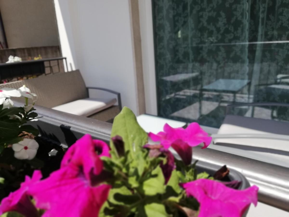 モニーガ・デル・ガルダCasa San Martinoアパートメント エクステリア 写真
